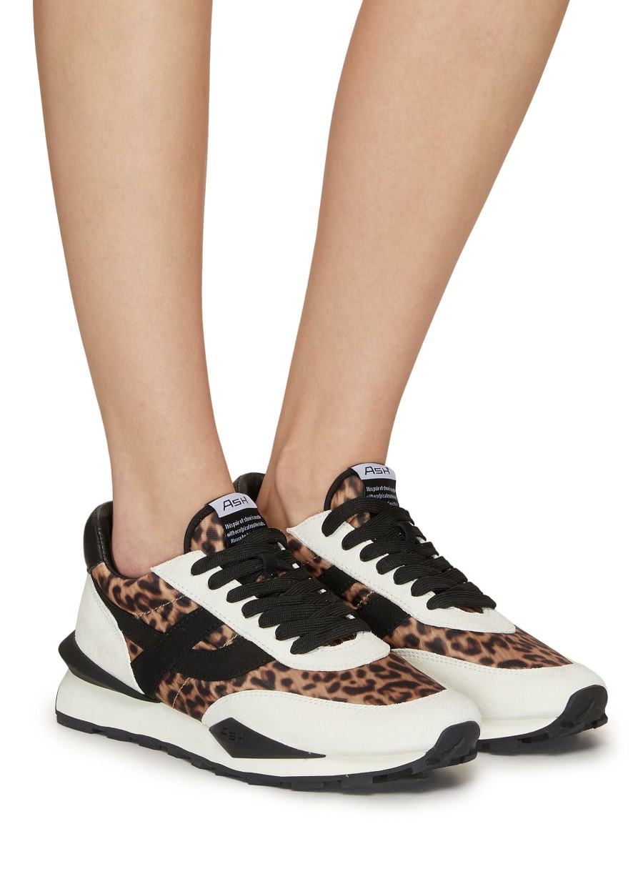 Shoes * | Ash Hot Sale 'Spider 168' Leopard Print Low Top Sneakers