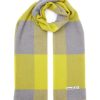 Accessories * | Acne Studios Discount Chequered Wool Fringed Scarf